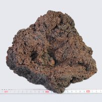 溶岩石 Lサイズ