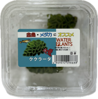 サルビニアククラーター CUP