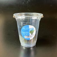 An ナナ ミニ CUP 入り