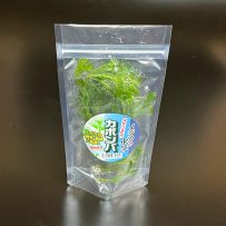 輸入　カモンバ　立パック入り