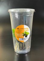 AN　ナナ　ゴールドPOT CUP入り