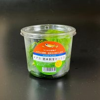 メダカ簡単飼育セット CUP入り430cc