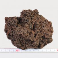 溶岩石 Mサイズ