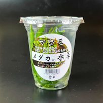 マツモ　412ccCUP入り