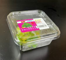 国産ｱﾏｿﾞﾝﾌﾛｸﾋﾞｯﾄ　CUP