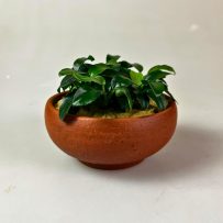 An ナナプチ　丸素焼き　S　輸入POT