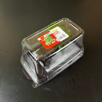 輸入　ANナナ流木S　パック入り