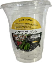 バナナ　イモ　CUP入り