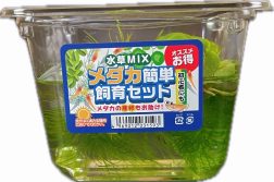 メダカセットSS
