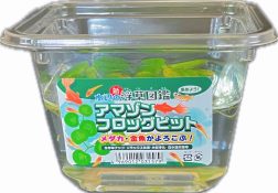 国産ｱﾏｿﾞﾝﾌﾛｸﾋﾞｯﾄ　小　CUP