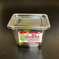 国産　サルビニア　小　CUP