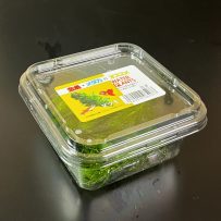 マツモ　輸入　CUP入り