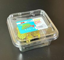 サルビニアククラーター CUP