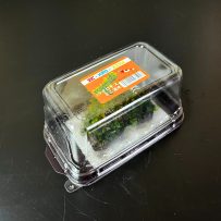 国産ウイロモス　ミニ流木pac