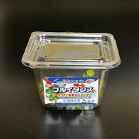 フルイタンス　CUP