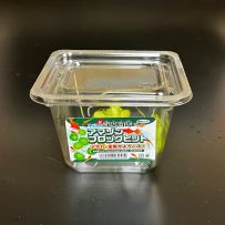 国産ｱﾏｿﾞﾝﾌﾛｸﾋﾞｯﾄ　小　CUP