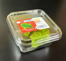 国産　ｻﾙﾋﾞﾆｱ　CUP